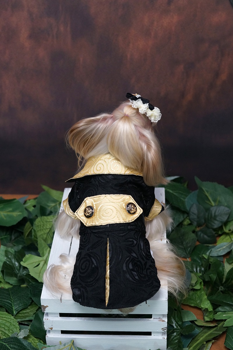 Handmade Dog Clothes Luxurious - огляд і ціна Suitsupply Wedding Tuxedo